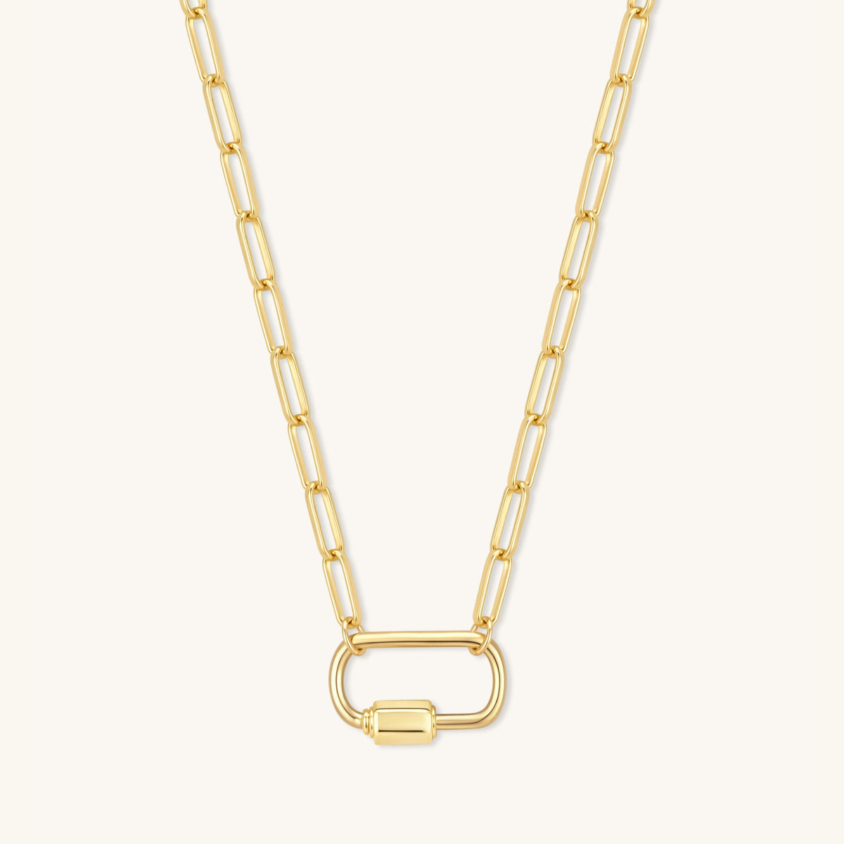 Carabiner Necklace